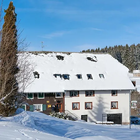 Gasthaus-pension Zum Loewen 3* Grafenhausen