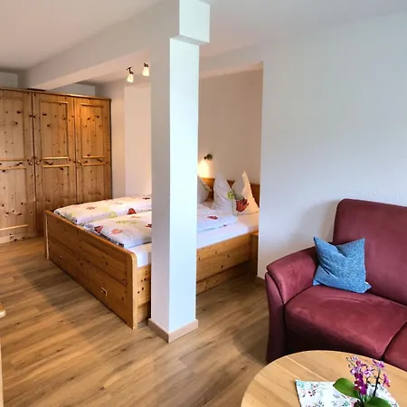 Pensión Gasthaus-pension Zum Loewen Grafenhausen