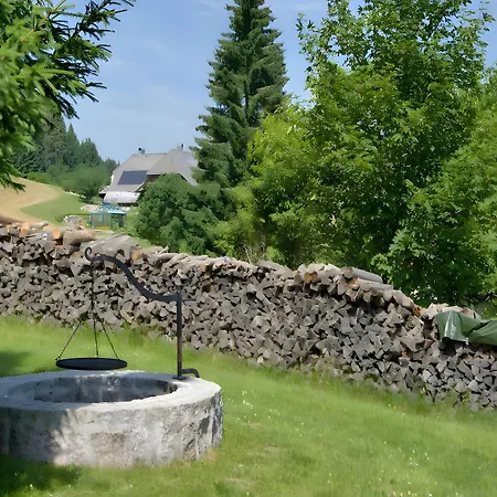 Pensión Gasthaus-pension Zum Loewen Grafenhausen