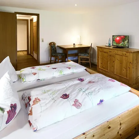 Gasthaus-pension Zum Loewen 3* Grafenhausen