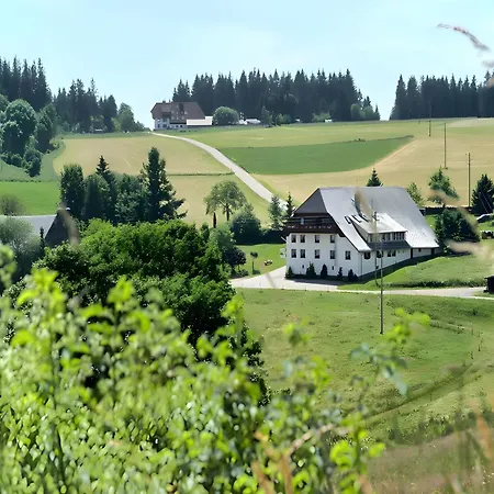Gasthaus-pension Zum Loewen Pensión Grafenhausen