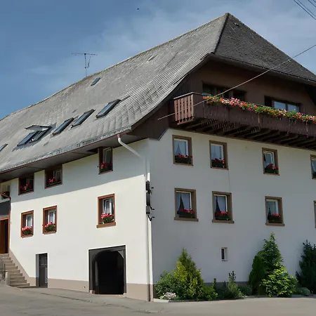 Guest house Gasthaus-pension Zum Loewen Grafenhausen