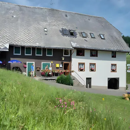 Gasthaus-pension Zum Loewen 3* Grafenhausen