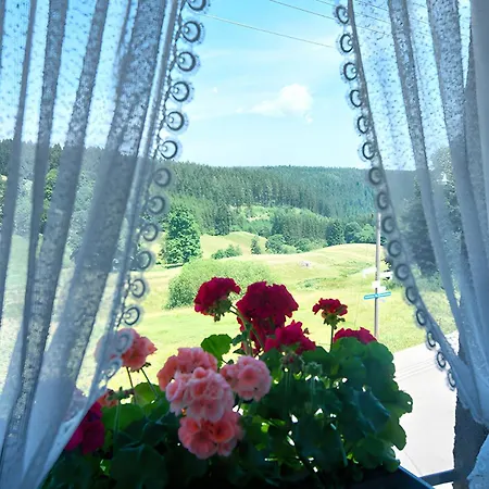 Gasthaus-pension Zum Loewen