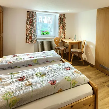 Gasthaus-pension Zum Loewen Pensión