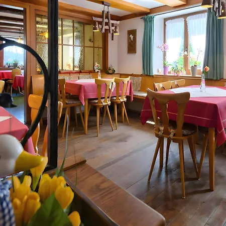 Gasthaus-pension Zum Loewen Grafenhausen
