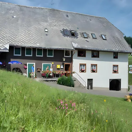 Gasthaus-pension Zum Loewen