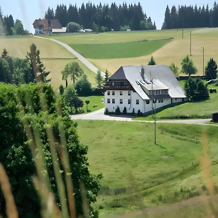 Gasthaus-pension Zum Loewen Grafenhausen
